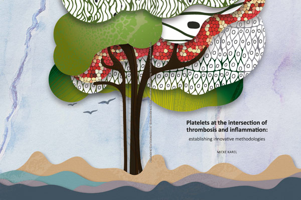 Boekomslag PhD verslag